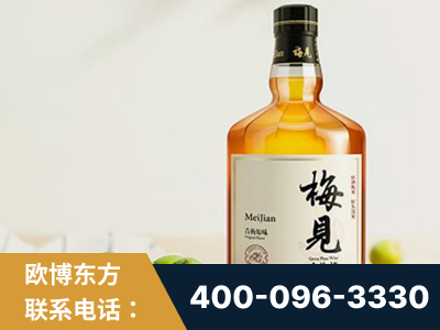 韶关-梅见青梅酒